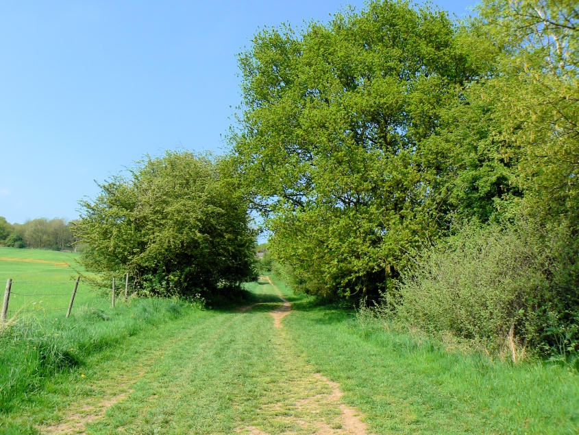 Midshires Way Midshires Way